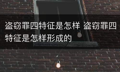盗窃罪四特征是怎样 盗窃罪四特征是怎样形成的