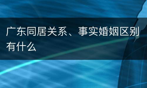 广东同居关系、事实婚姻区别有什么