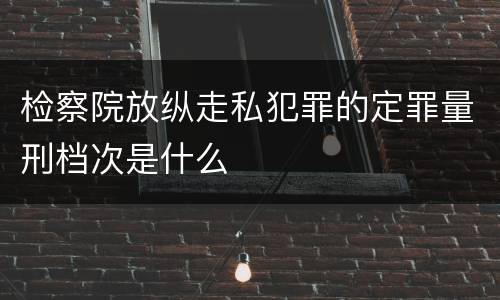 检察院放纵走私犯罪的定罪量刑档次是什么