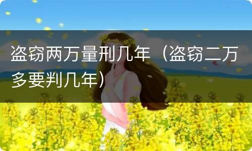 盗窃两万量刑几年（盗窃二万多要判几年）