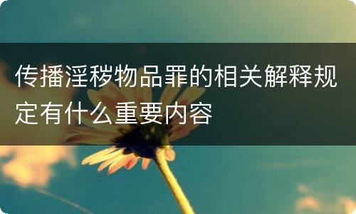 传播淫秽物品罪的相关解释规定有什么重要内容