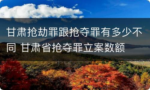 甘肃抢劫罪跟抢夺罪有多少不同 甘肃省抢夺罪立案数额