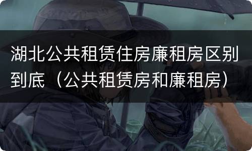 湖北公共租赁住房廉租房区别到底（公共租赁房和廉租房）