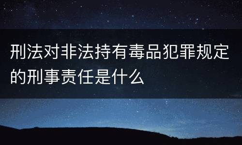 刑法对非法持有毒品犯罪规定的刑事责任是什么