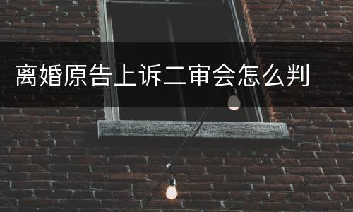 离婚原告上诉二审会怎么判