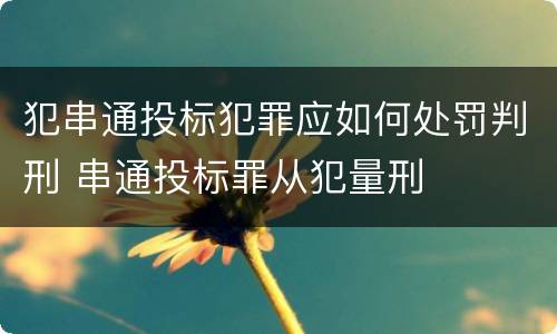 犯串通投标犯罪应如何处罚判刑 串通投标罪从犯量刑