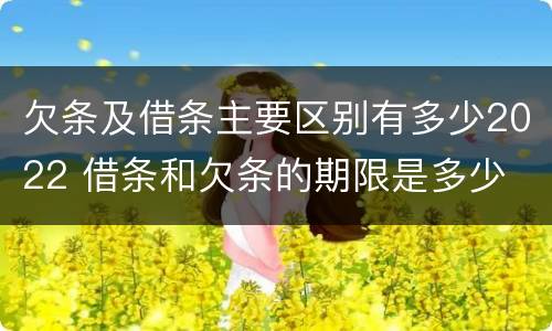 欠条及借条主要区别有多少2022 借条和欠条的期限是多少