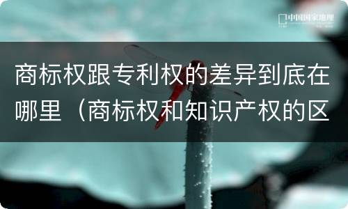 商标权跟专利权的差异到底在哪里（商标权和知识产权的区别）