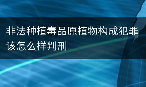 非法种植毒品原植物构成犯罪该怎么样判刑