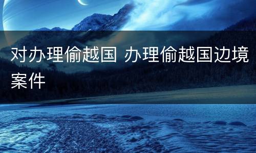 对办理偷越国 办理偷越国边境案件
