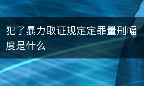 犯了暴力取证规定定罪量刑幅度是什么