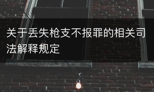 关于丢失枪支不报罪的相关司法解释规定