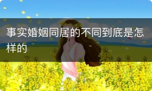 事实婚姻同居的不同到底是怎样的