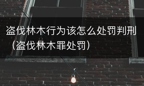 盗伐林木行为该怎么处罚判刑（盗伐林木罪处罚）