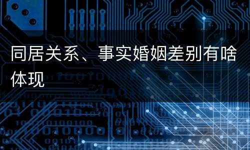同居关系、事实婚姻差别有啥体现