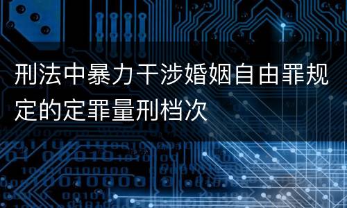 刑法中暴力干涉婚姻自由罪规定的定罪量刑档次