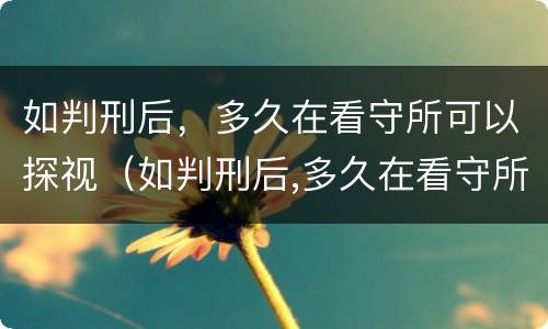如判刑后，多久在看守所可以探视（如判刑后,多久在看守所可以探视一个月）