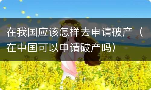 在我国应该怎样去申请破产（在中国可以申请破产吗）