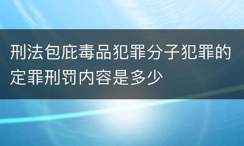 刑法包庇毒品犯罪分子犯罪的定罪刑罚内容是多少