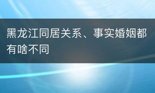 黑龙江同居关系、事实婚姻都有啥不同
