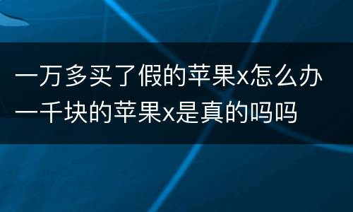 一万多买了假的苹果x怎么办 一千块的苹果x是真的吗吗