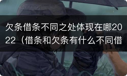 欠条借条不同之处体现在哪2022（借条和欠条有什么不同借条书写）