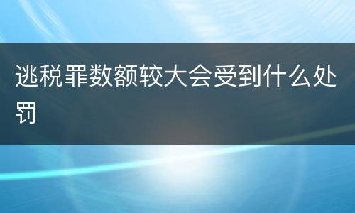 逃税罪数额较大会受到什么处罚