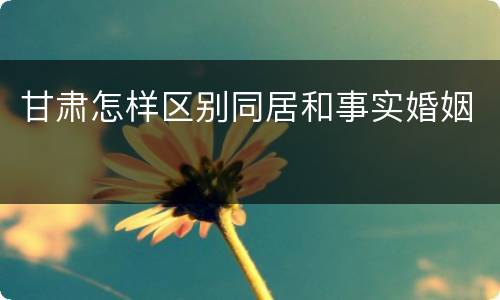 甘肃怎样区别同居和事实婚姻