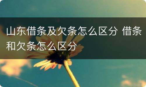 山东借条及欠条怎么区分 借条和欠条怎么区分
