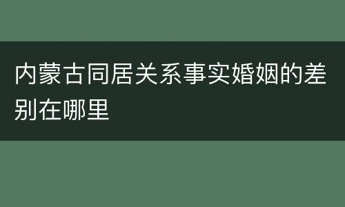 内蒙古同居关系事实婚姻的差别在哪里