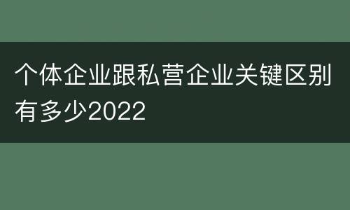 个体企业跟私营企业关键区别有多少2022