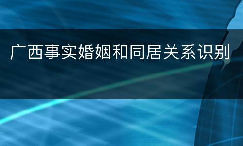 广西事实婚姻和同居关系识别