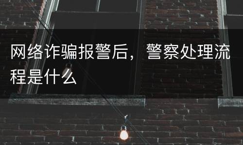 网络诈骗报警后，警察处理流程是什么