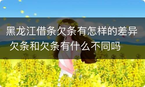 黑龙江借条欠条有怎样的差异 欠条和欠条有什么不同吗