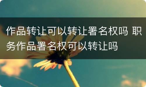 作品转让可以转让署名权吗 职务作品署名权可以转让吗