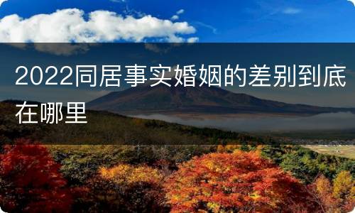 2022同居事实婚姻的差别到底在哪里