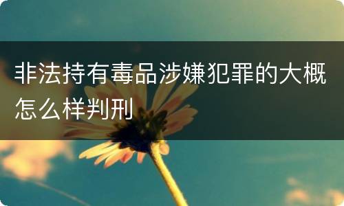 非法持有毒品涉嫌犯罪的大概怎么样判刑