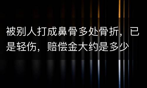 被别人打成鼻骨多处骨折，已是轻伤，赔偿金大约是多少