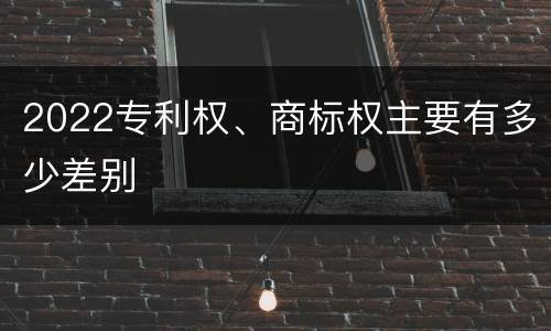 2022专利权、商标权主要有多少差别