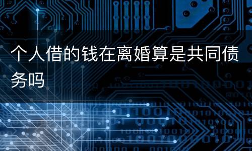 个人借的钱在离婚算是共同债务吗