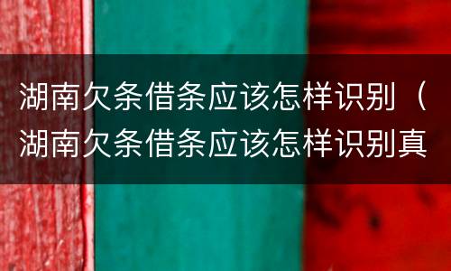 湖南欠条借条应该怎样识别（湖南欠条借条应该怎样识别真伪）