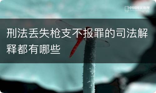 刑法丢失枪支不报罪的司法解释都有哪些