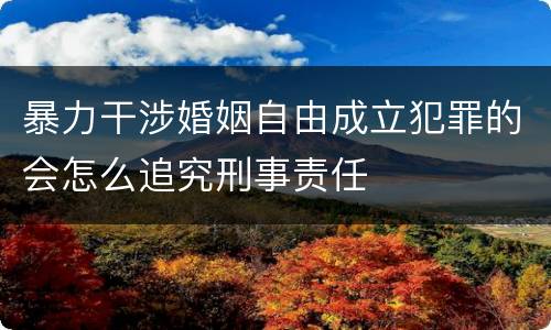 暴力干涉婚姻自由成立犯罪的会怎么追究刑事责任