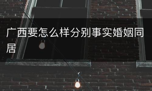 广西要怎么样分别事实婚姻同居