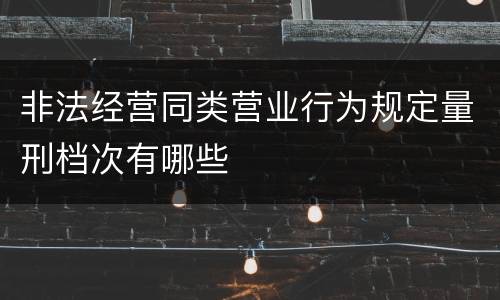 非法经营同类营业行为规定量刑档次有哪些