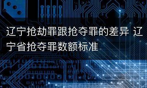 辽宁抢劫罪跟抢夺罪的差异 辽宁省抢夺罪数额标准