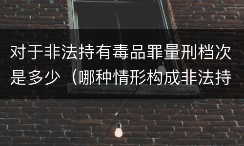 对于非法持有毒品罪量刑档次是多少（哪种情形构成非法持有毒品罪?）