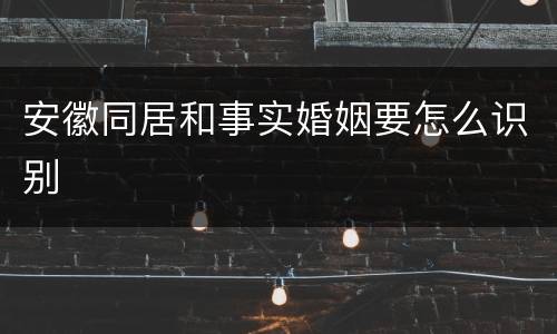 安徽同居和事实婚姻要怎么识别