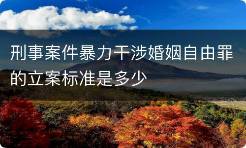 刑事案件暴力干涉婚姻自由罪的立案标准是多少