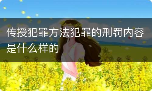 传授犯罪方法犯罪的刑罚内容是什么样的